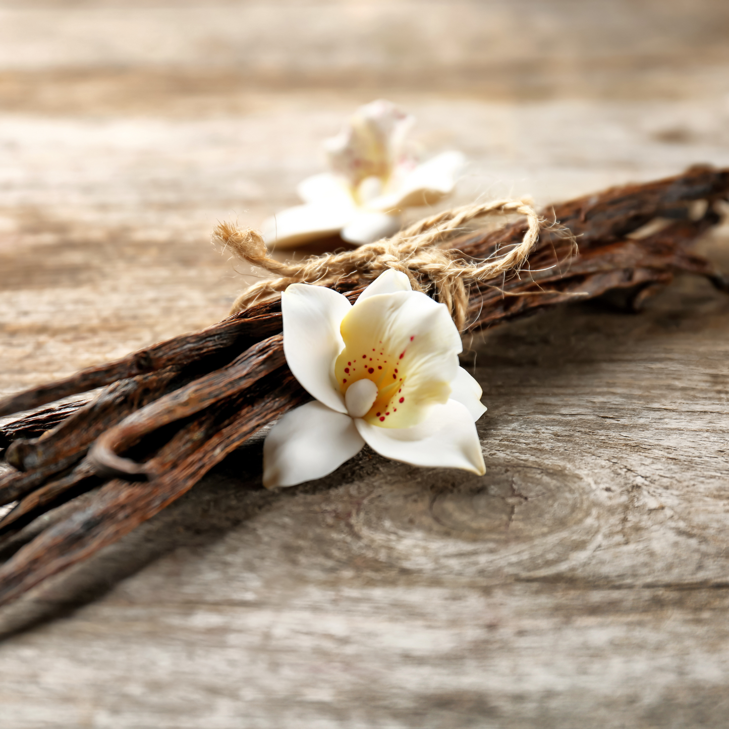 Very Vanilla | Soy Wax Melts