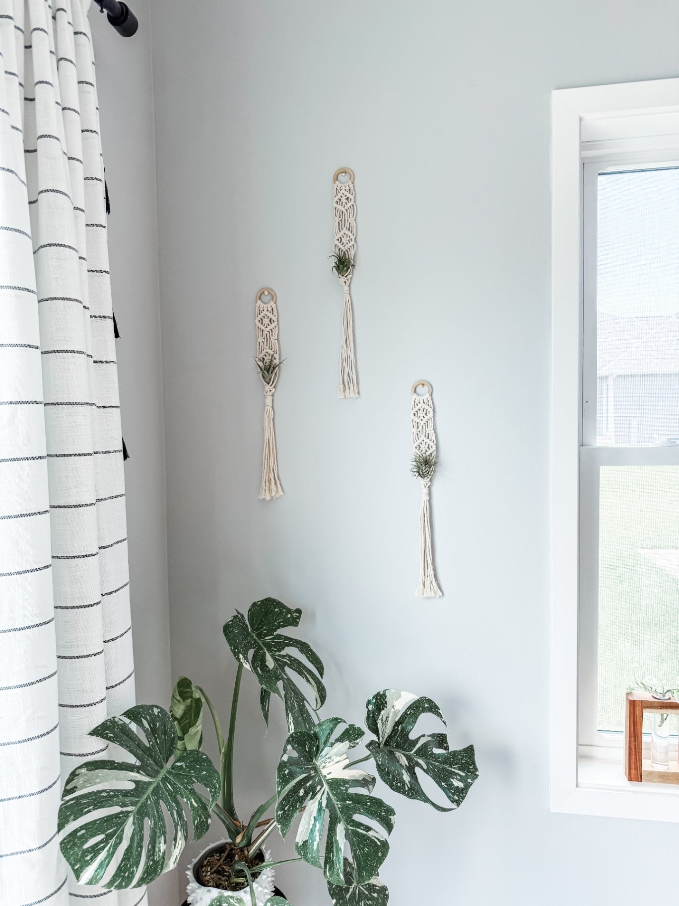 "Sia" Macrame Air Plant Hanger
