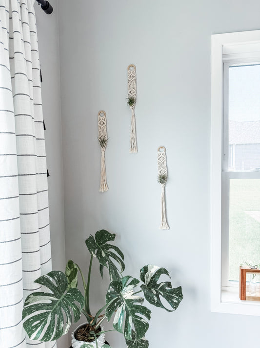 021 - "Sia" Macrame Air Plant Hanger