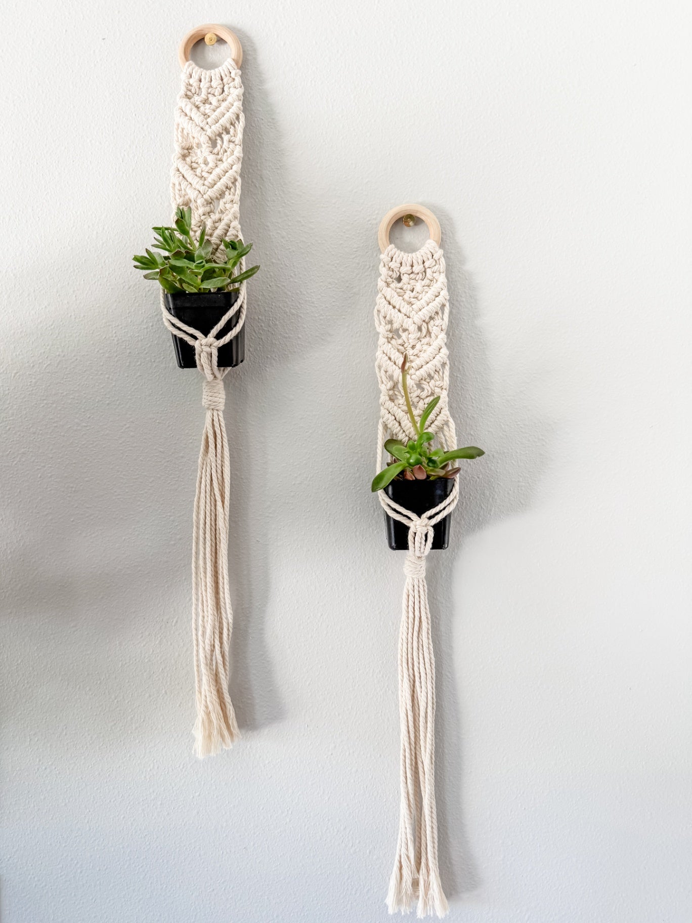 "Tilly" Macrame Plant Wall Hanger