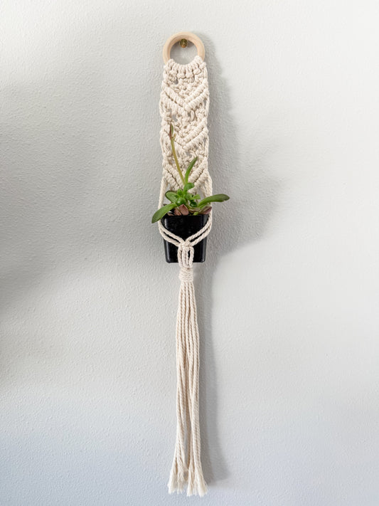 "Tilly" Macrame Plant Wall Hanger