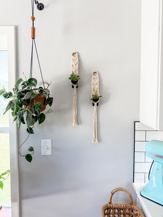 021 - "Tilly" Macrame Plant Wall Hanger