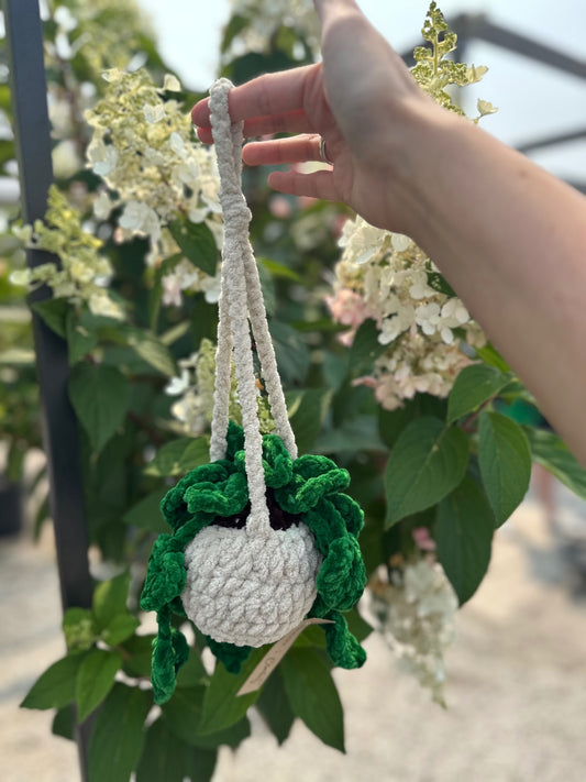 06 - Mini Crochet Hanging Plant