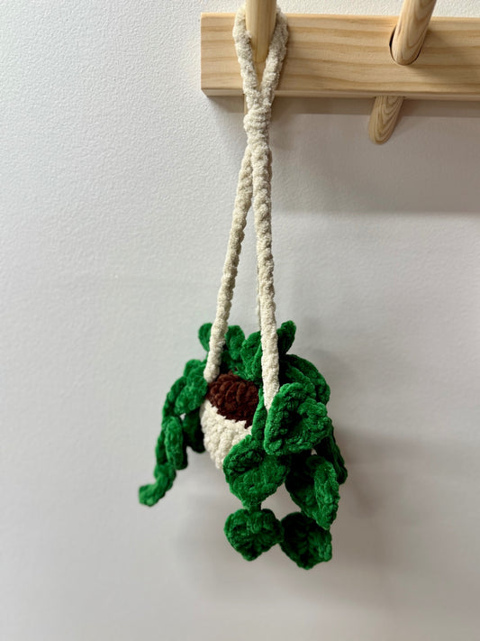 06 - Mini Crochet Hanging Plant