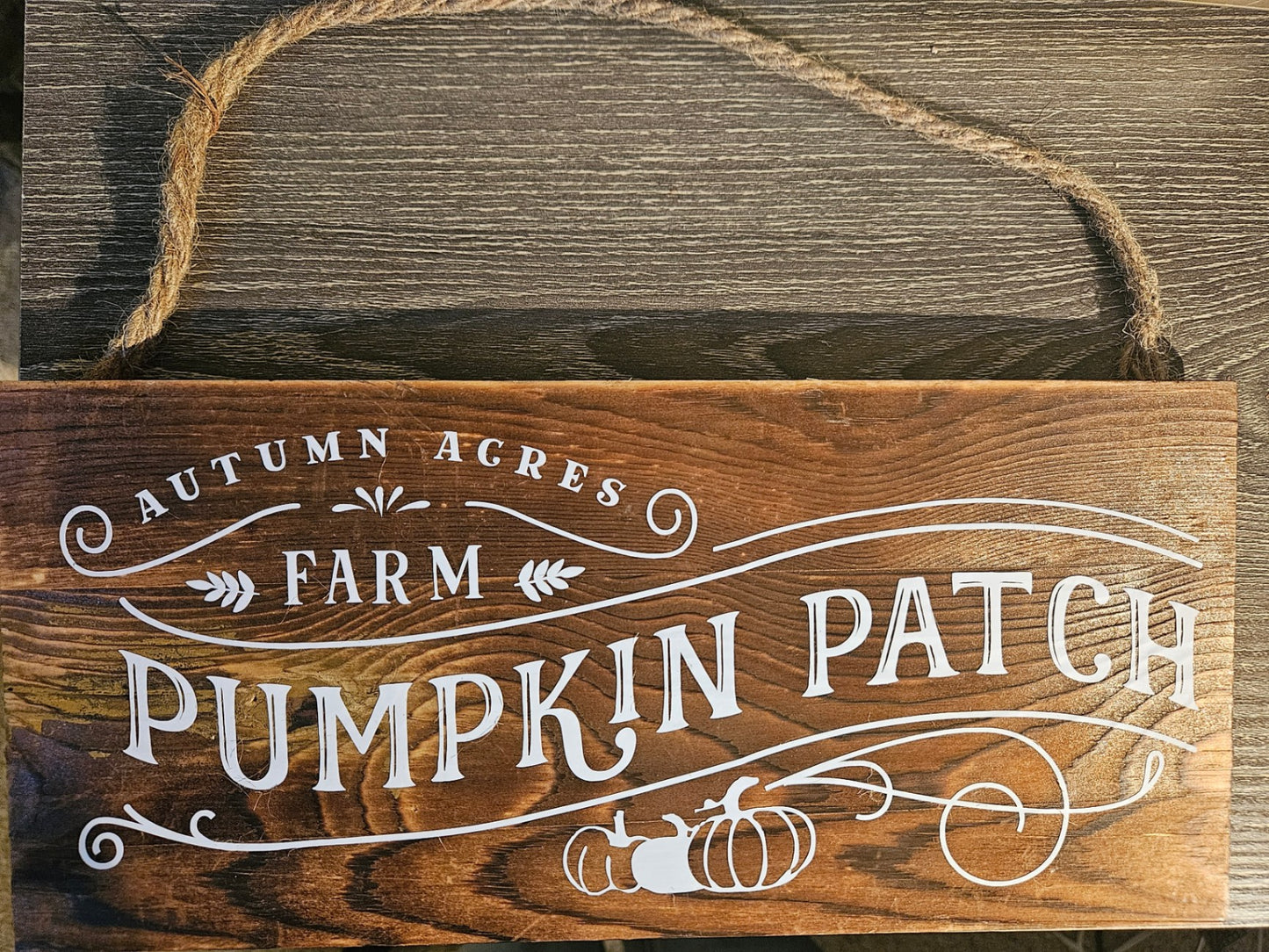 Pumpkin Patch