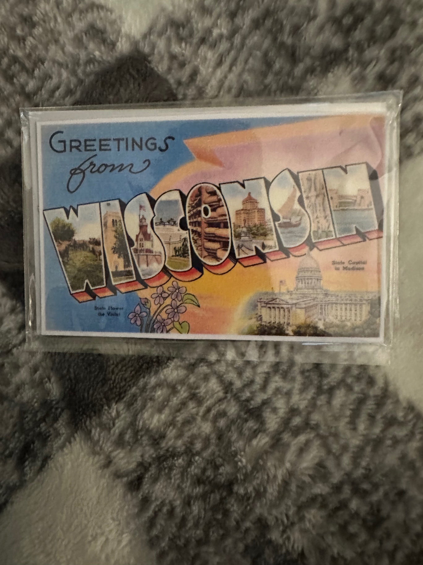 059 - Wisconsin Magnet