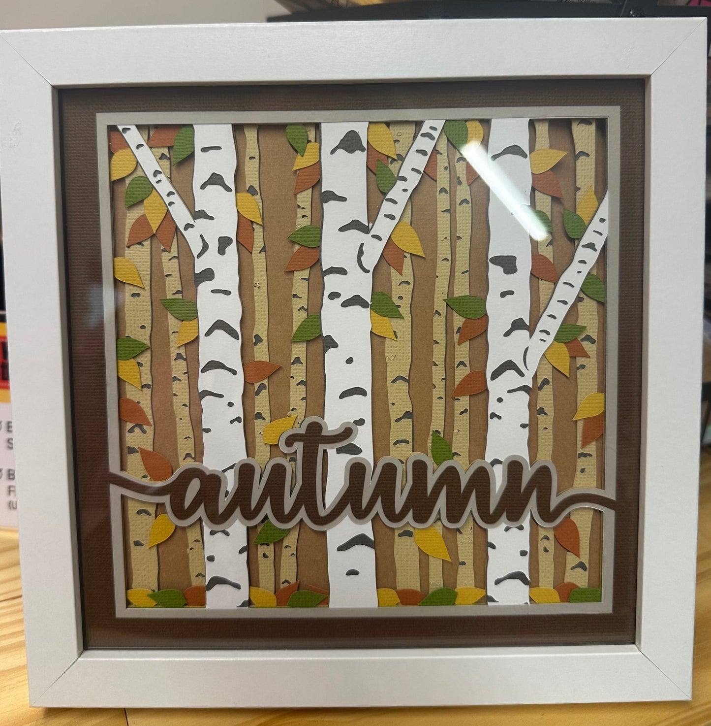 Birch Forest Autumn Shadow Box
