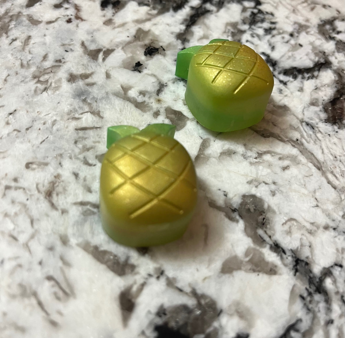 Pineapple Paradise Magnets