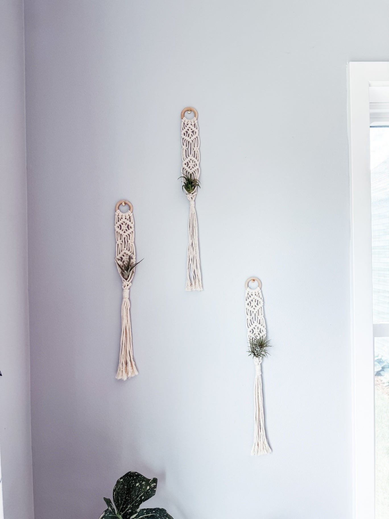021 - "Sia" Macrame Air Plant Hanger