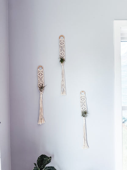 021 - "Sia" Macrame Air Plant Hanger