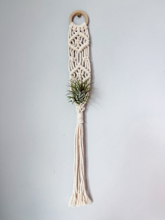 "Sia" Macrame Air Plant Hanger