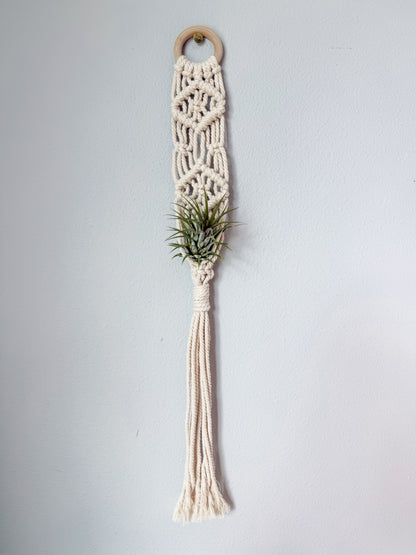 021 - "Sia" Macrame Air Plant Hanger
