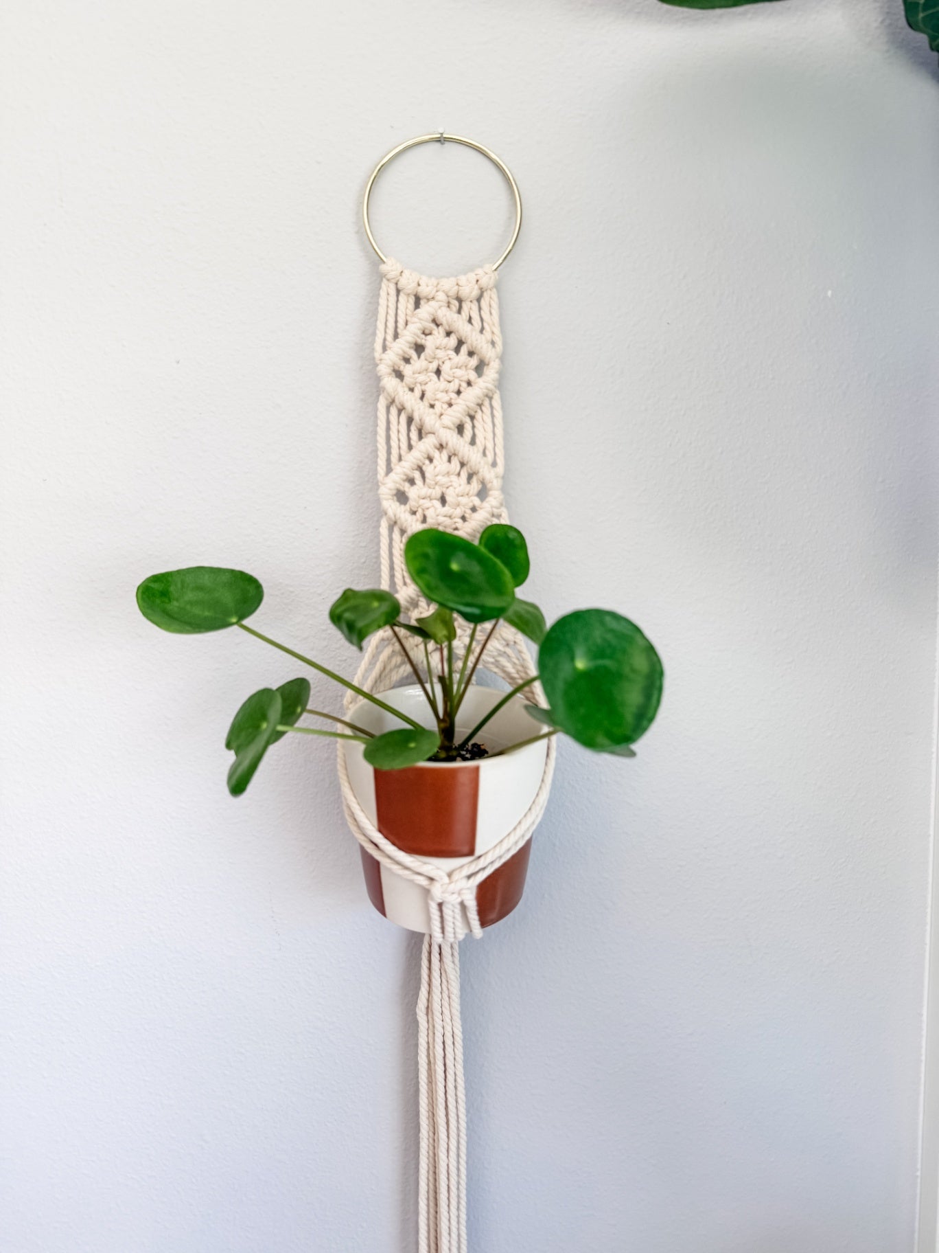021 - "Heather" Macrame Plant Wall Hanger