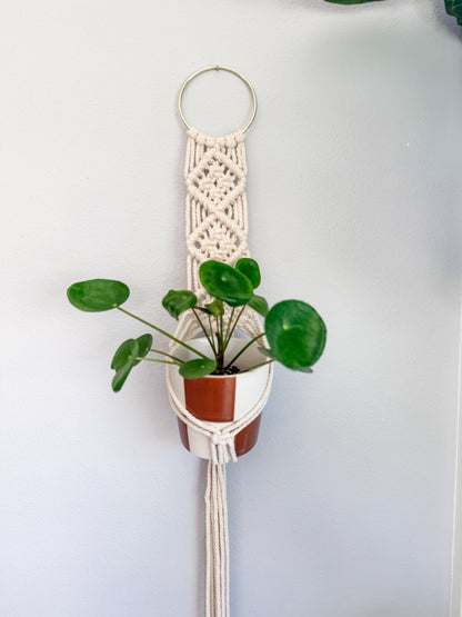 021 - "Heather" Macrame Plant Wall Hanger
