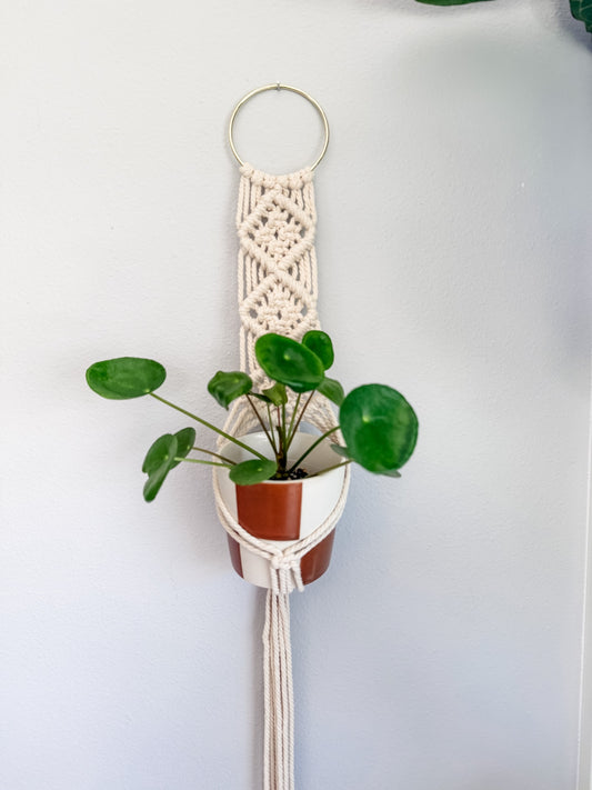 021 - "Heather" Macrame Plant Wall Hanger