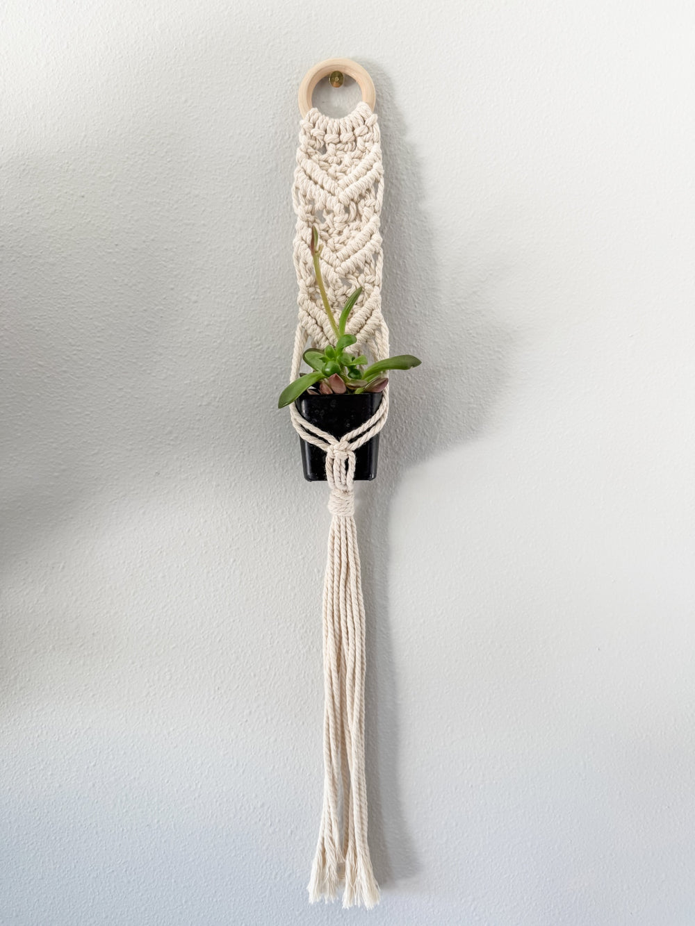 021 - "Tilly" Macrame Plant Wall Hanger