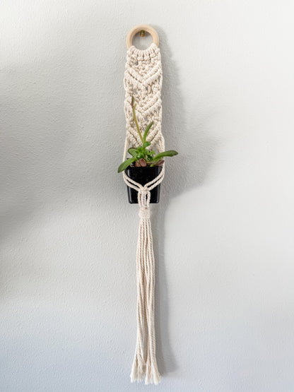 "Tilly" Macrame Plant Wall Hanger