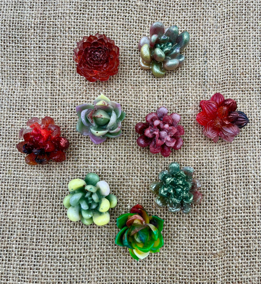 Red Succulent Resin Magnet