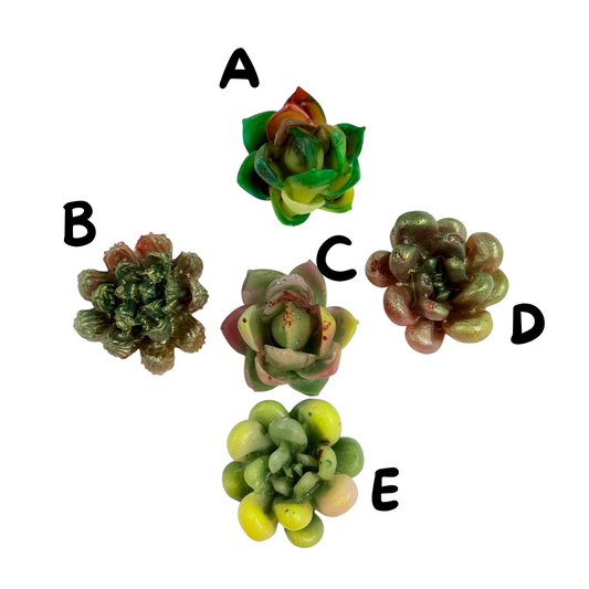 Green Succulent Resin Magnet