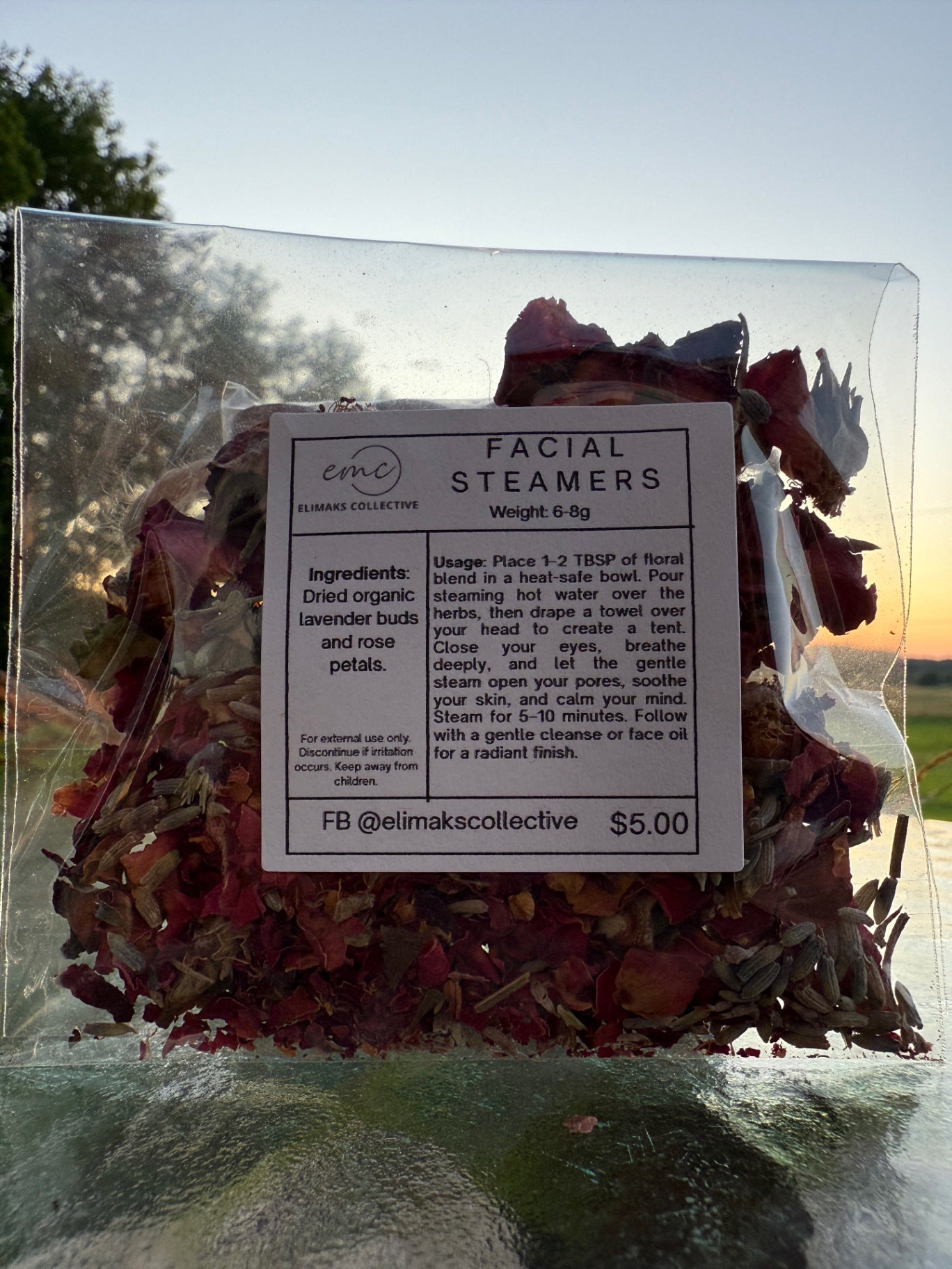 Facial Steamer