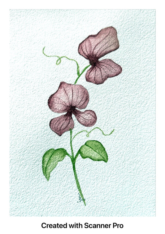Two Pink Flowers