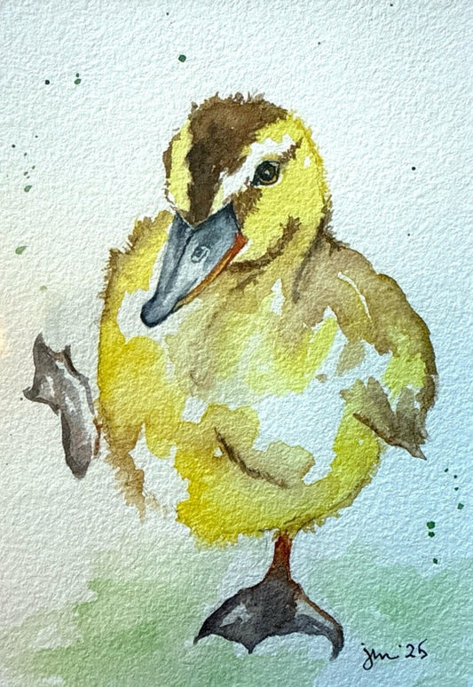 Duckling