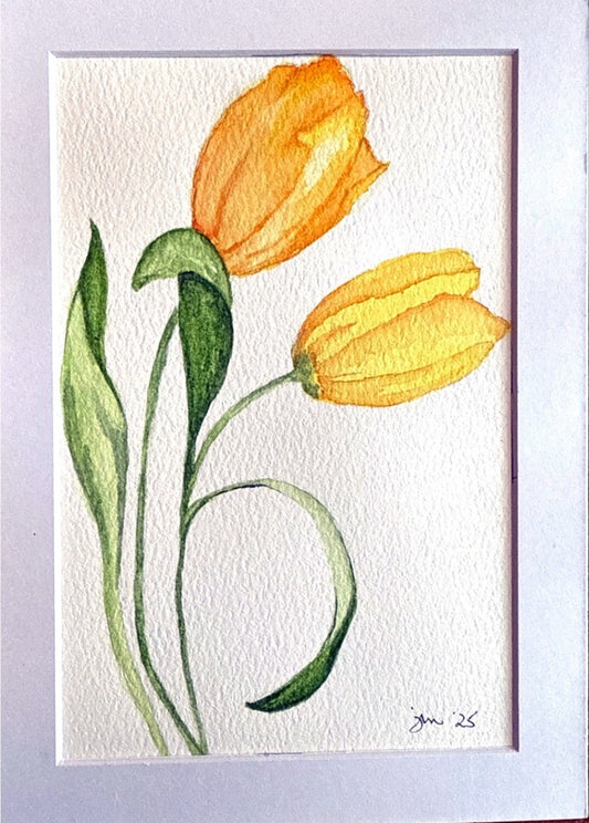Yellow Tulips