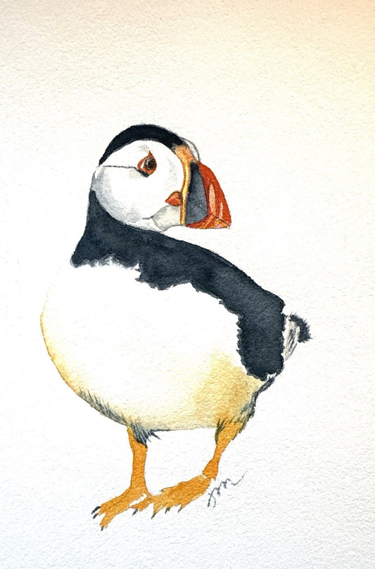 Puffin - full body
