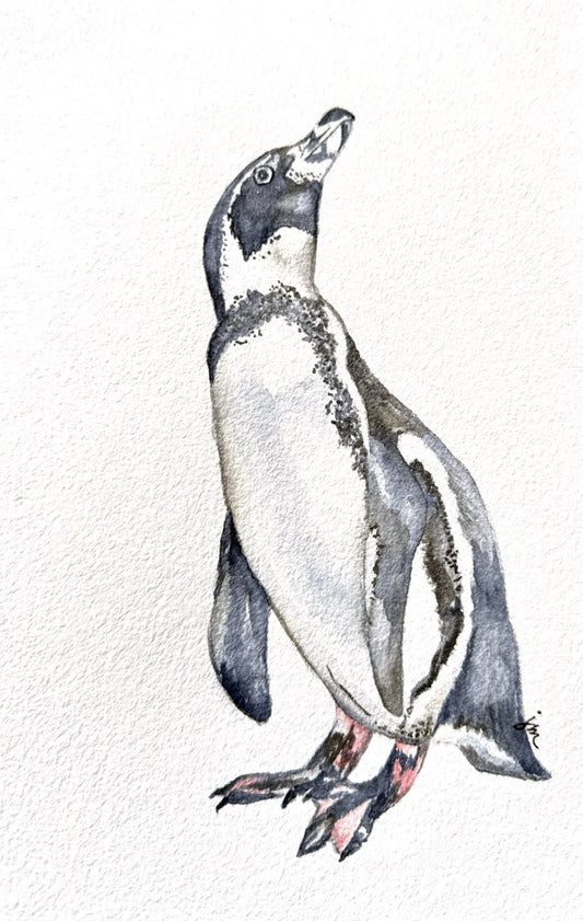 Penguin