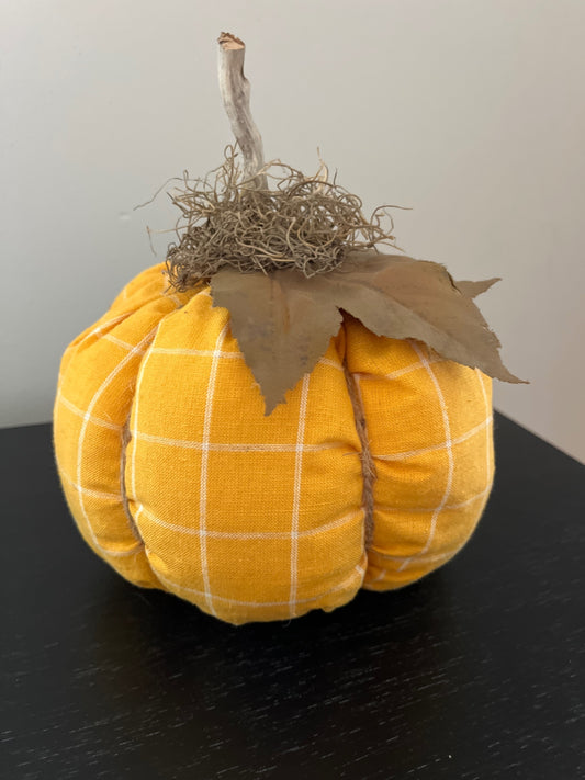 Check pumpkin