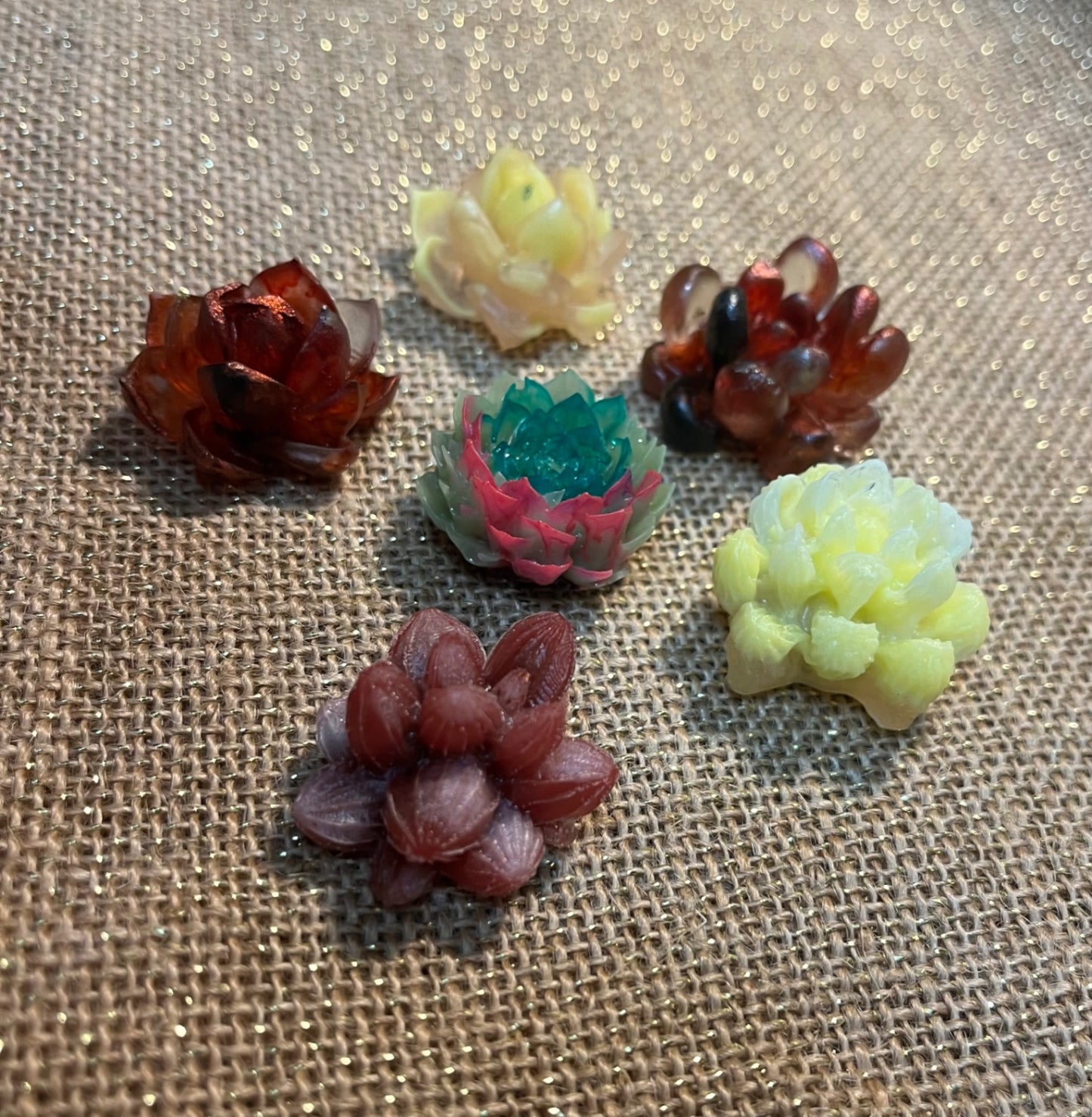 Succulent Love Magnet