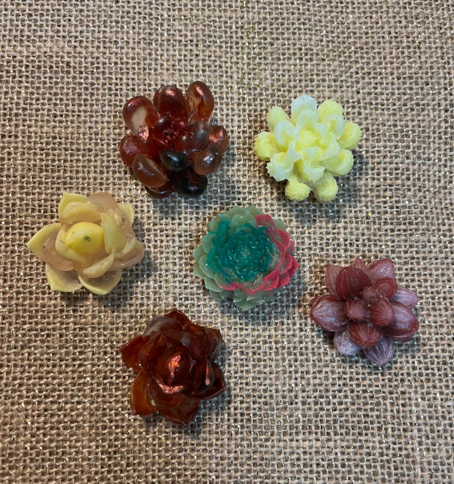 Succulent Love Magnet