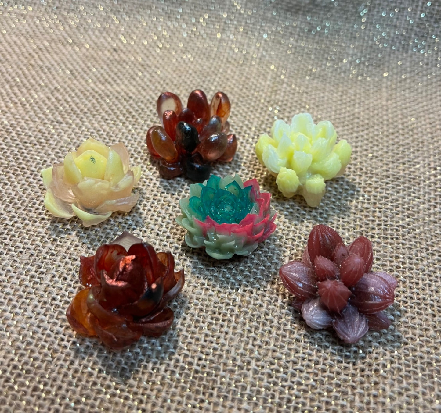 Succulent Love Magnet