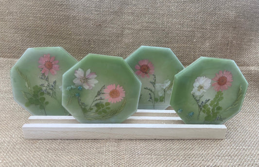 Botanical Sage Green Resin Octagon Coasters