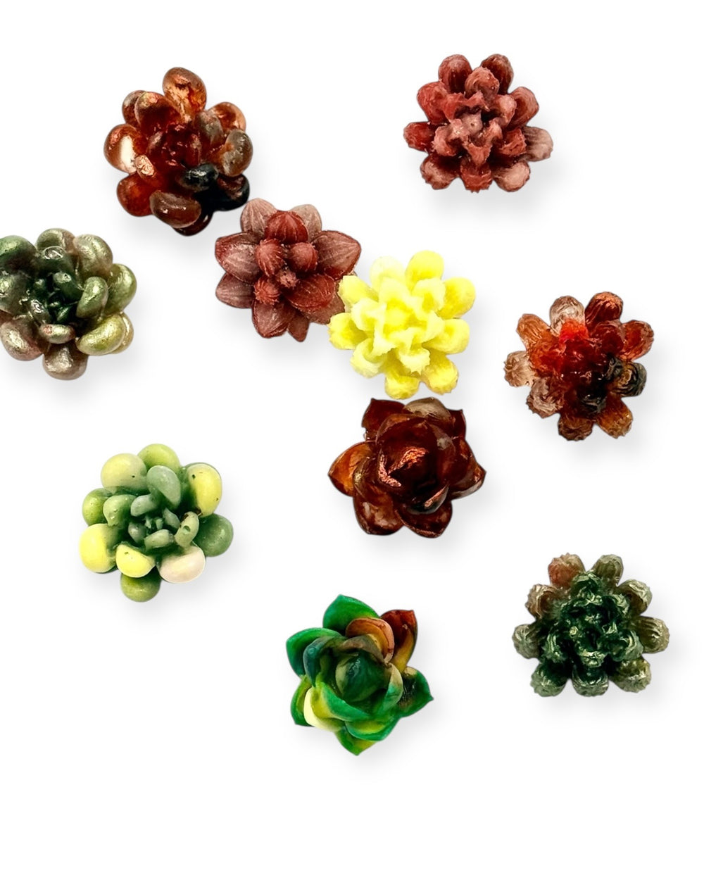 017 - Succulent Resin Magnet