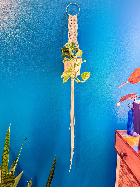 Macrame Plant Hanger Workshop: January 9th