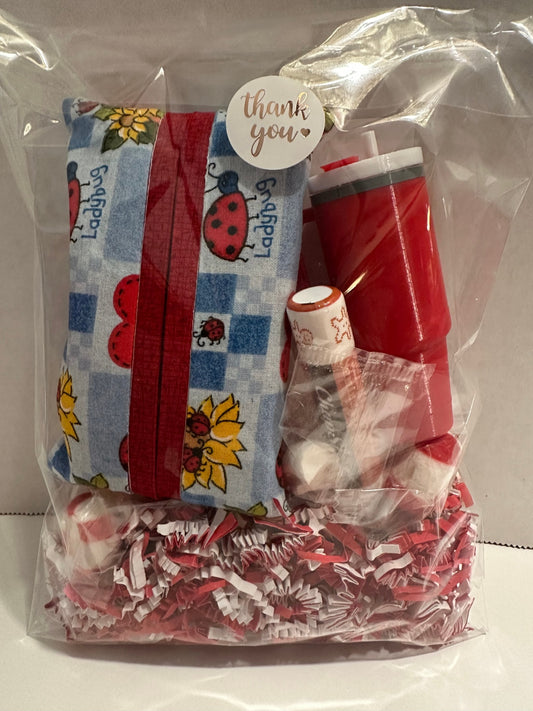 08 - Winter Care Gift Set | Chapstick, Tissue Cover, Keychain | Ladybug