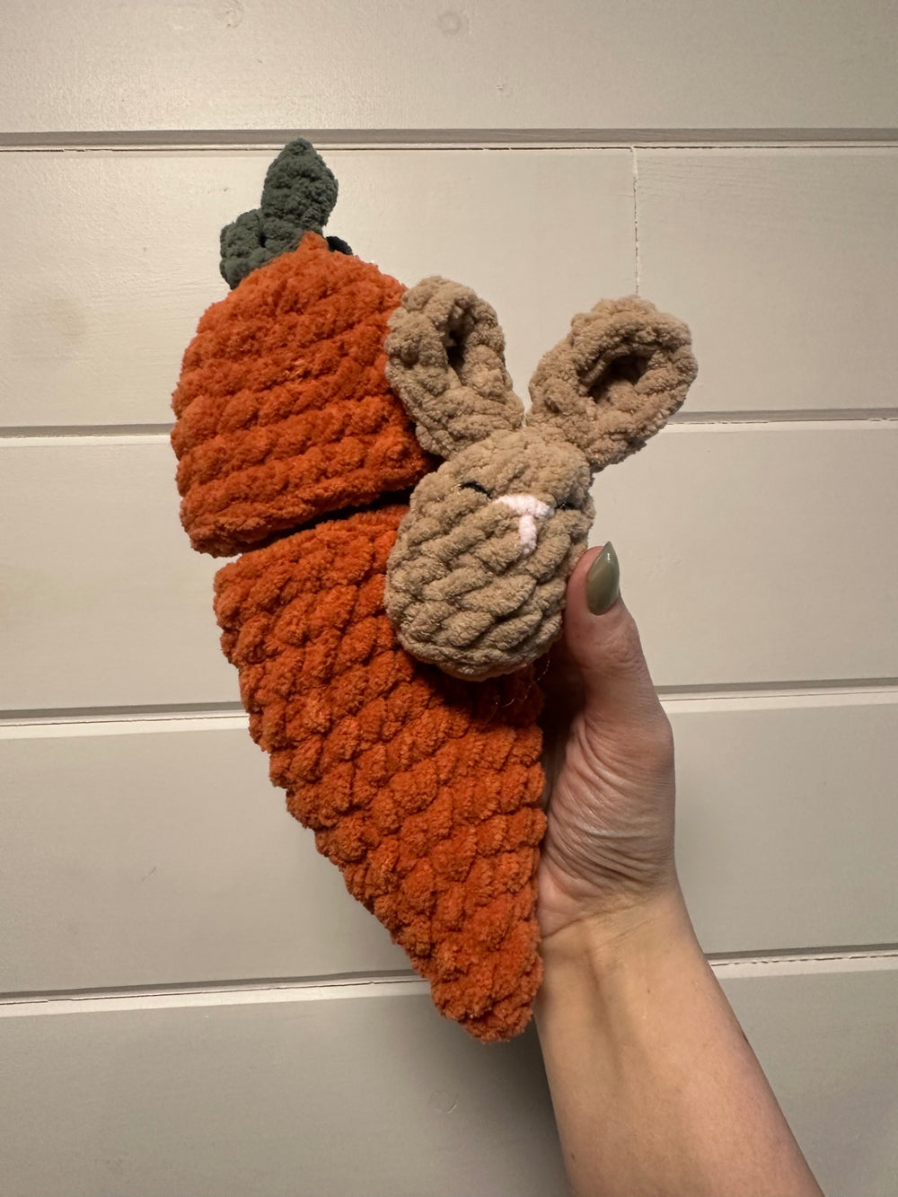06 - Crochet Carrot Patch Hiding Bunny