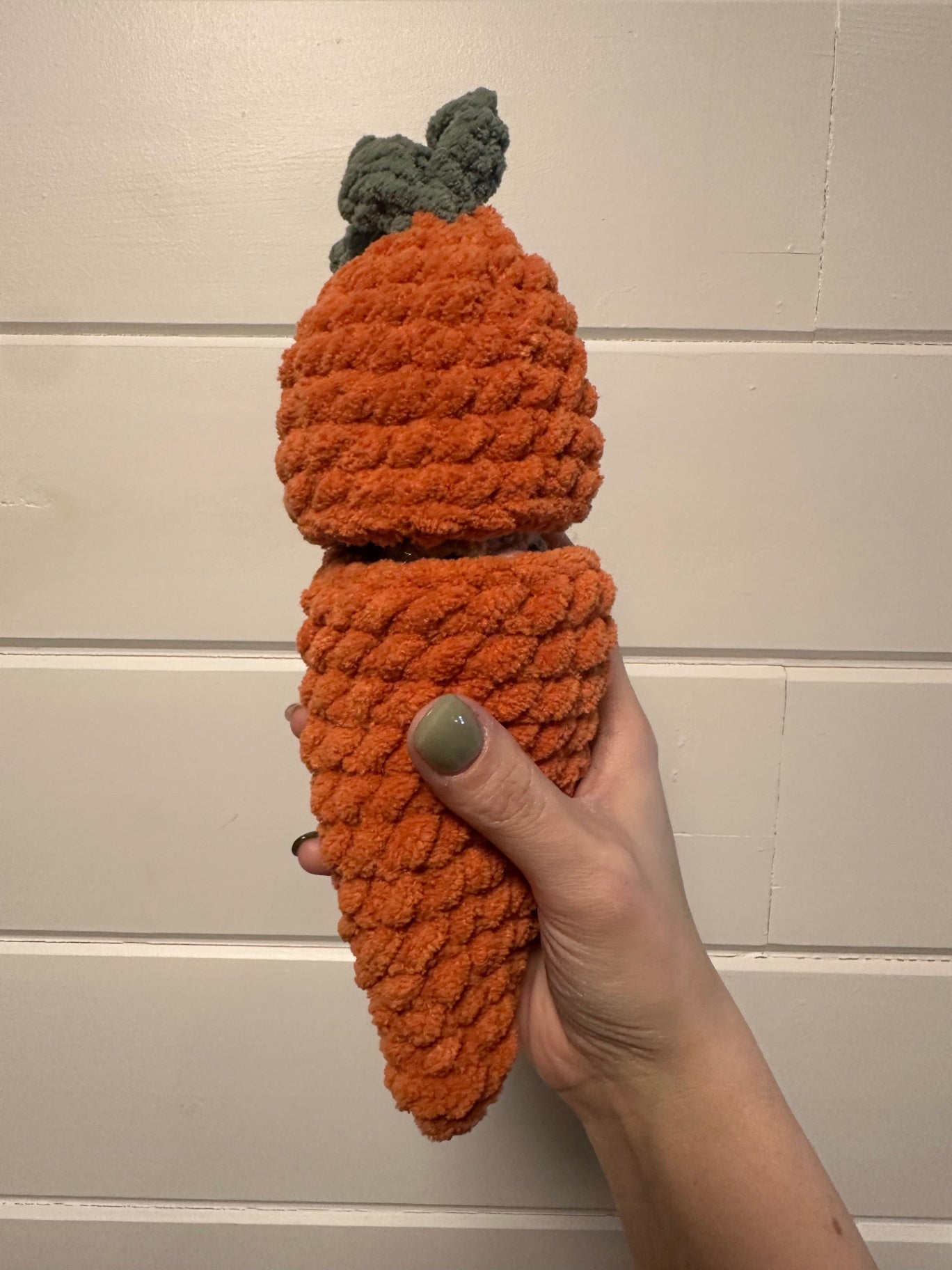 06 - Crochet Carrot Patch Hiding Bunny