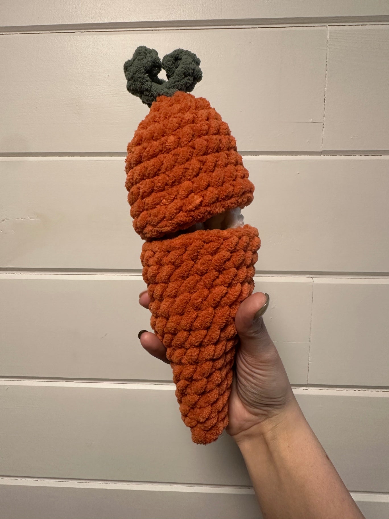 06 - Crochet Carrot Patch Hiding Bunny 