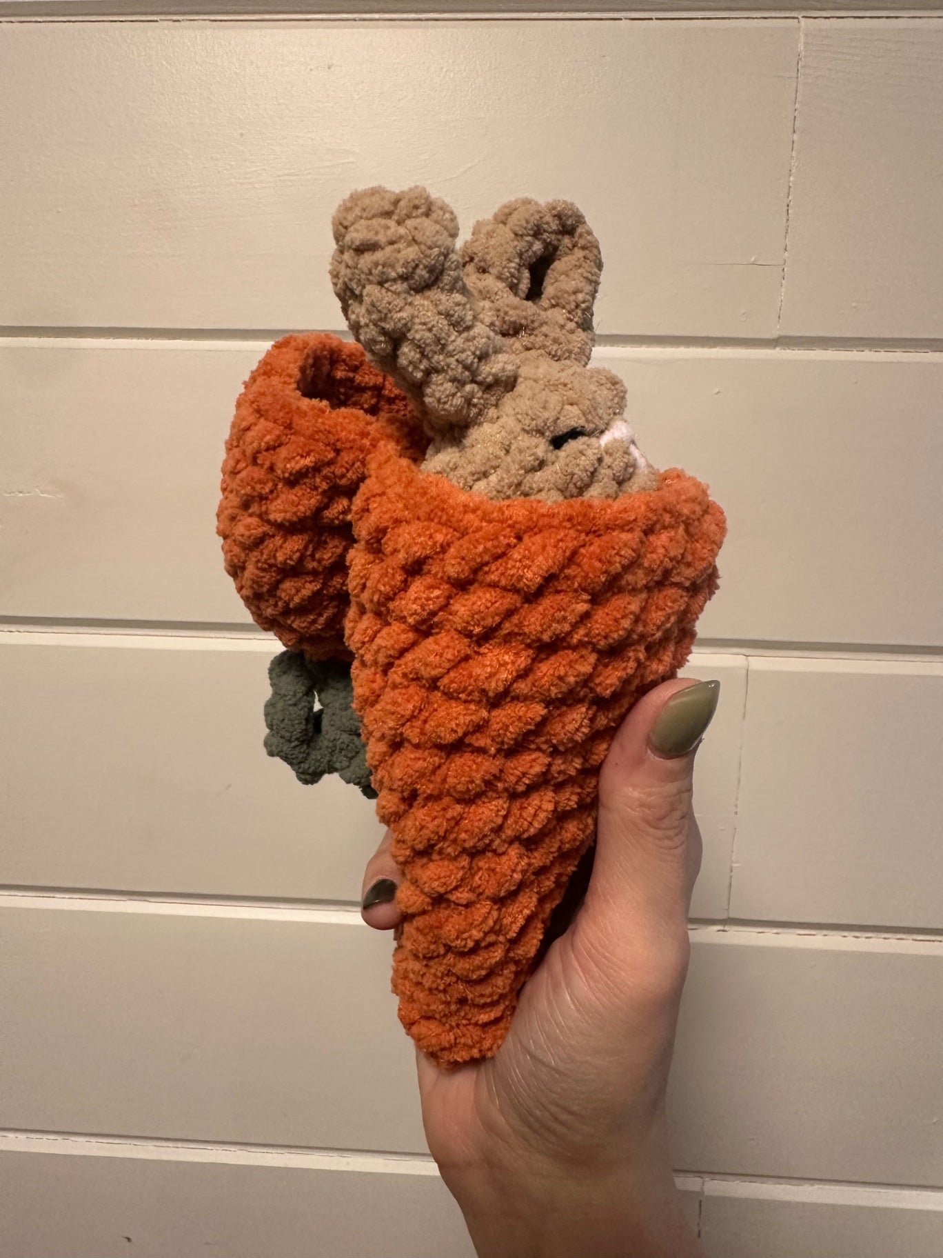 06 - Crochet Carrot Patch Hiding Bunny 