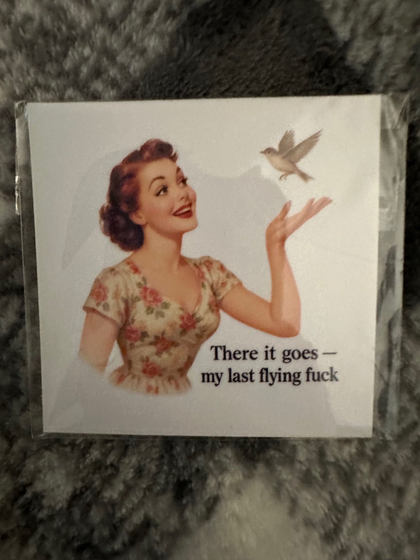 059 - There It Goes My Last Flying Fuck Snarky Magnet