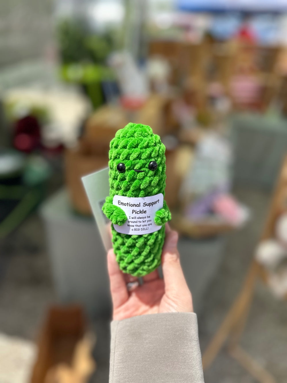 06 - Crochet Emotional Support Pickle