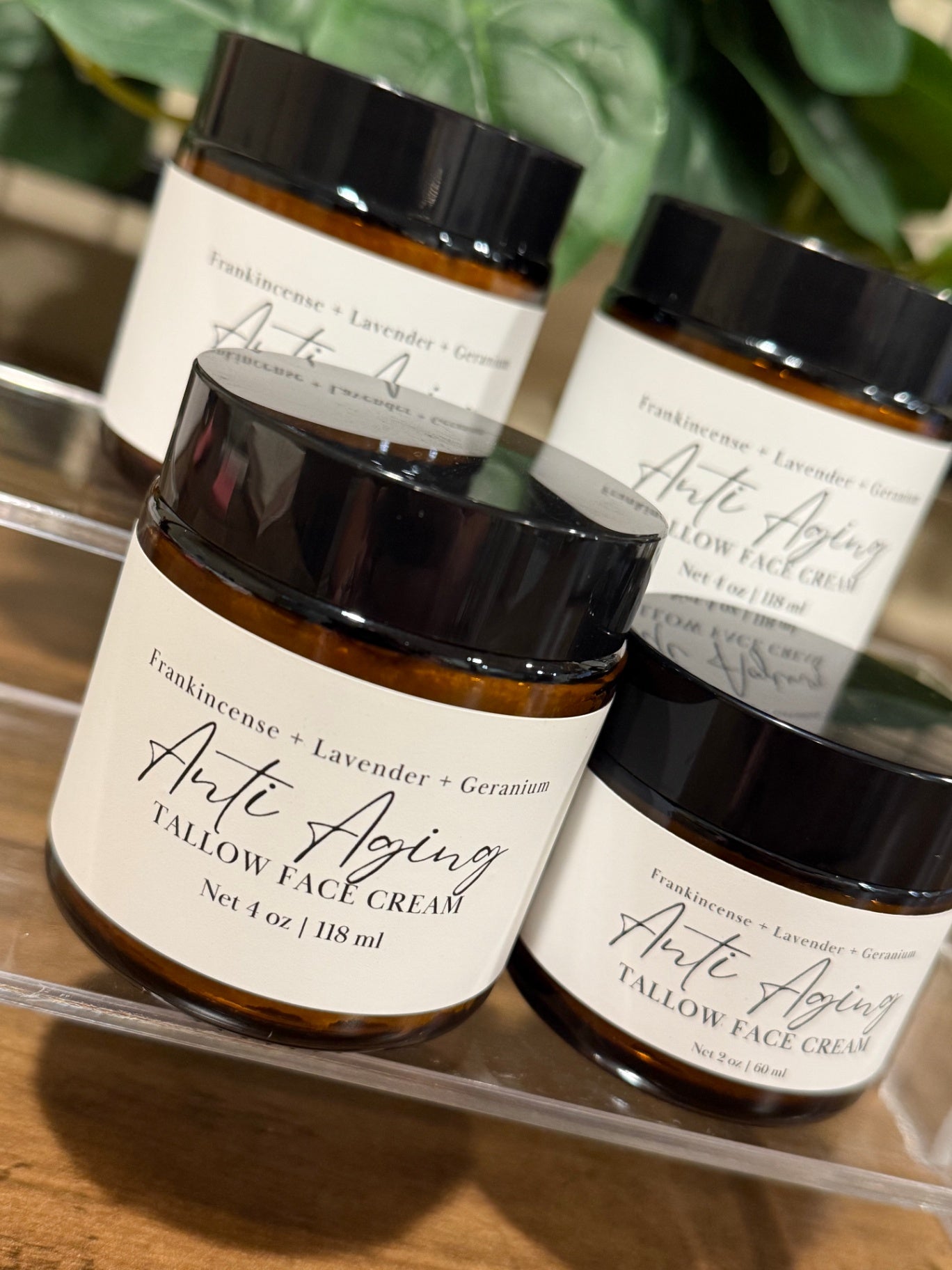 Four amber glass jars of Anti Aging Tallow Face Cream with black lids and white labels, arranged on a clear acrylic stand over a wooden surface with green leaves in the background.