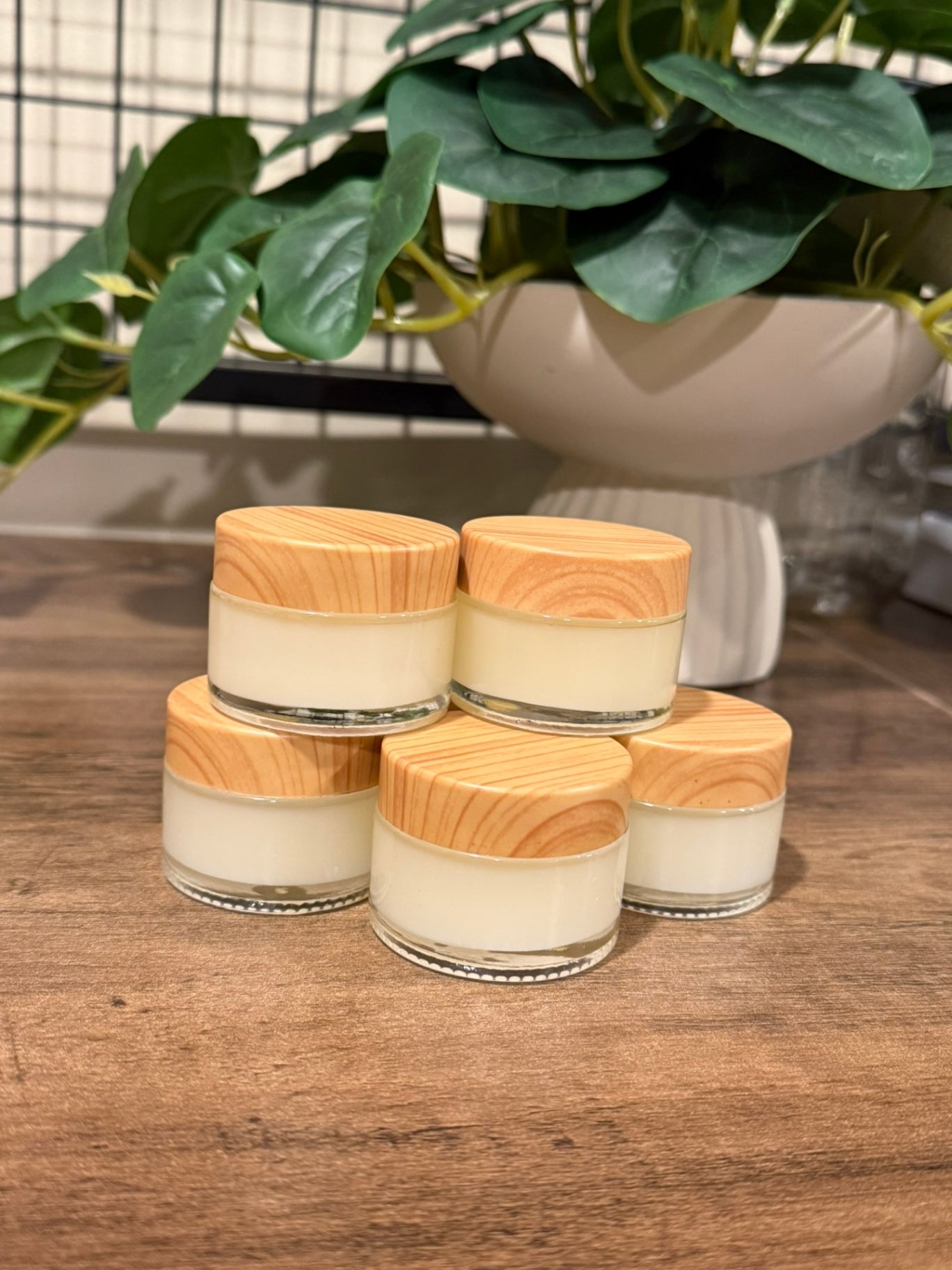 Five small glass jars filled with off-white cream or balm, each topped with a light natural wood lid, arranged on a wooden surface with a potted green plant in the background.
