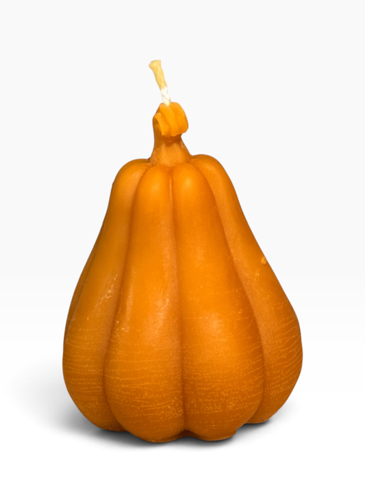 055 - Orange Gourd Pumpkin Beeswax Candle