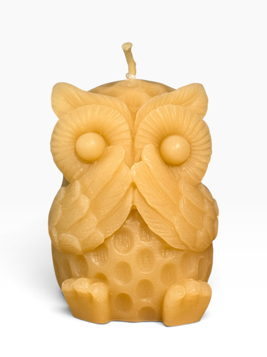 055 - Owl Beeswax Candle