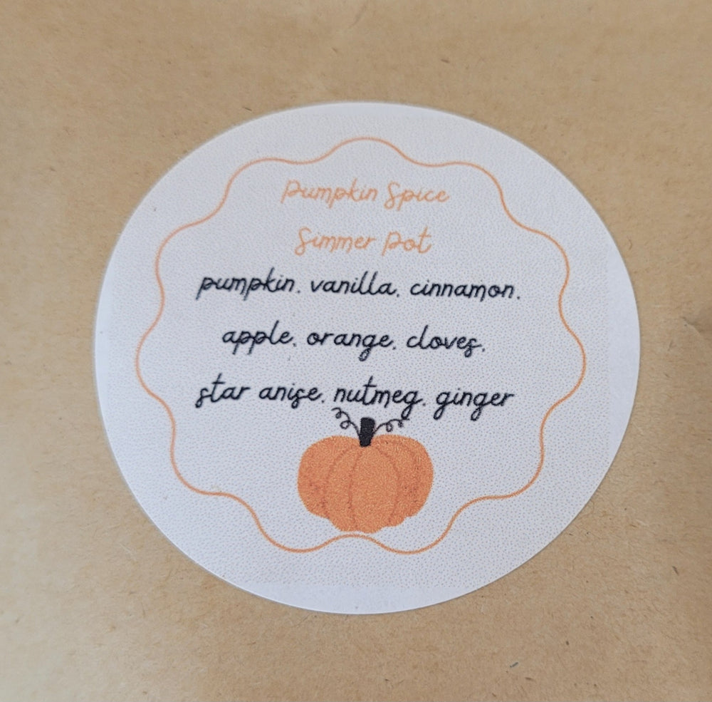 047 - Pumpkin Spice Simmer Pot Pack | Large