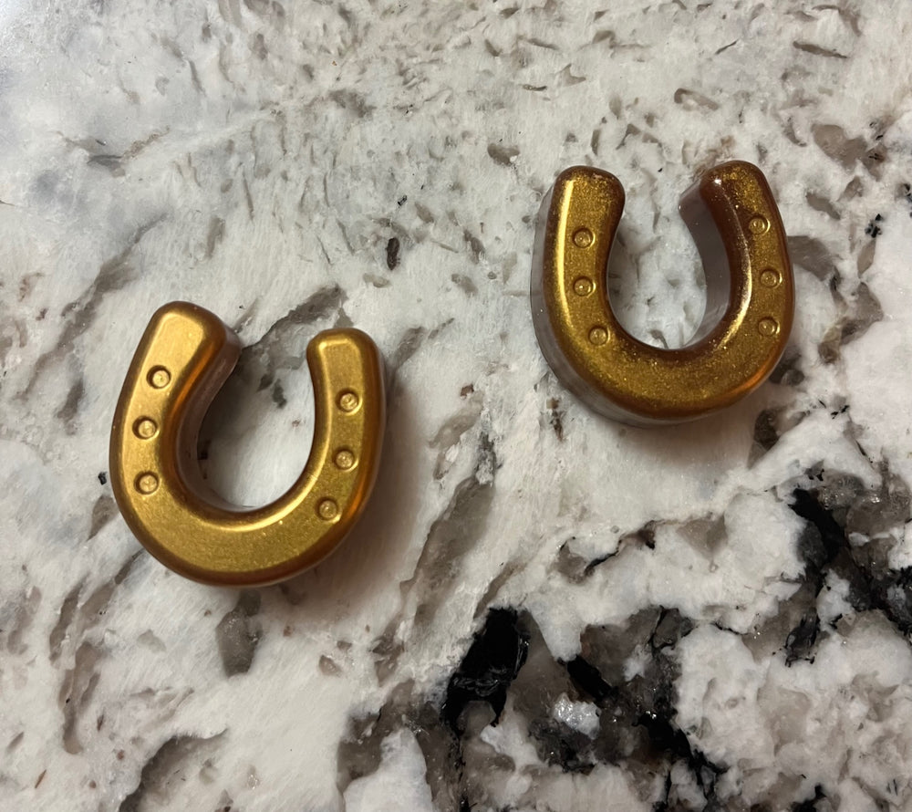 Lucky Little Horseshoe Resin Magnets