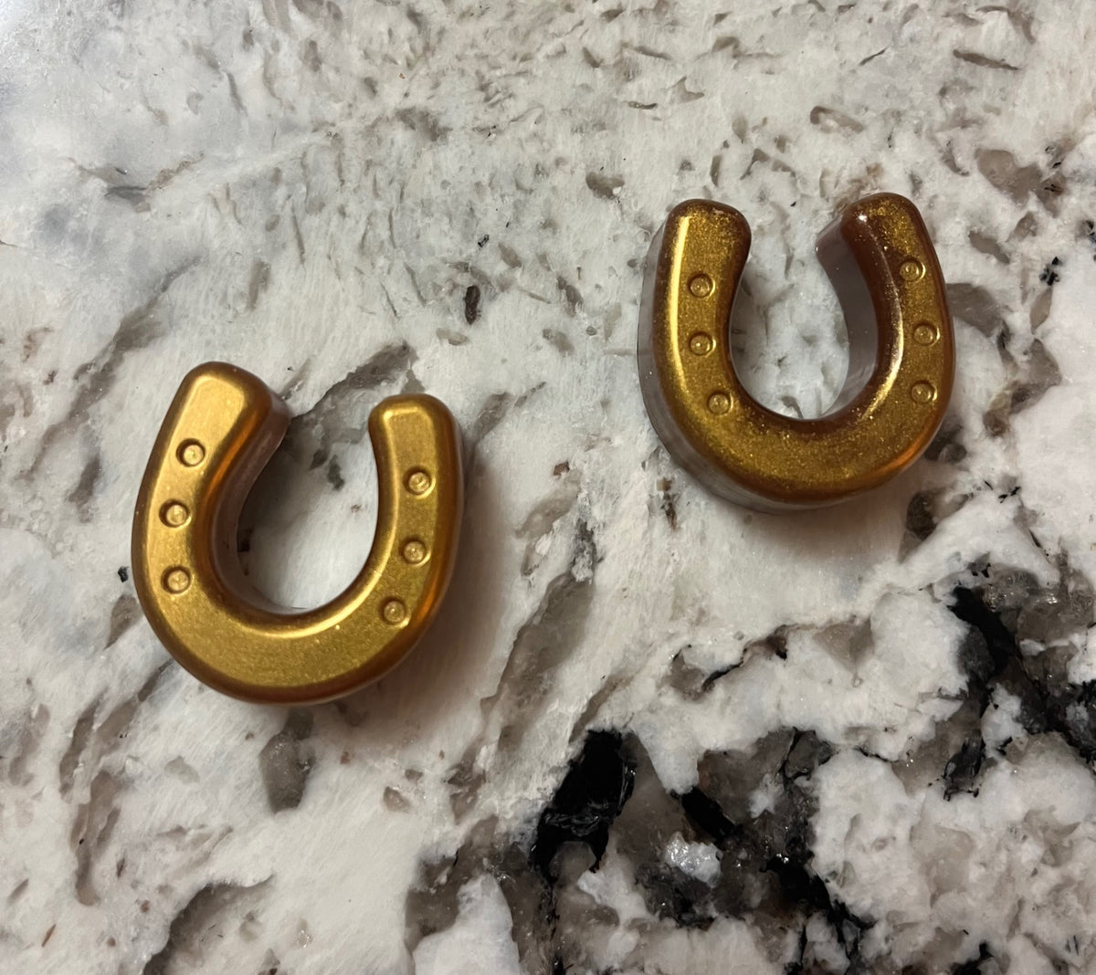     Lucky Little Horseshoe Resin Magnets